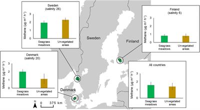 Methane Emissions From Nordic Seagrass Meadow Sediments